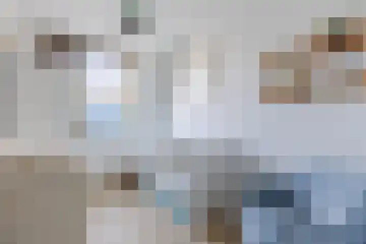 Schoolven 12 Zaandam thumbnail 22