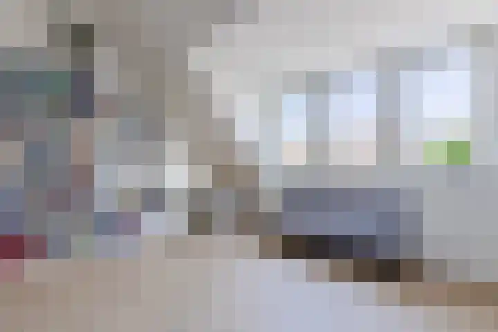 Schoolven 12 Zaandam thumbnail 30