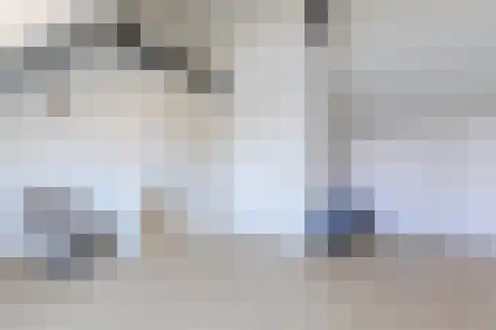 Schoolven 12 Zaandam thumbnail 31