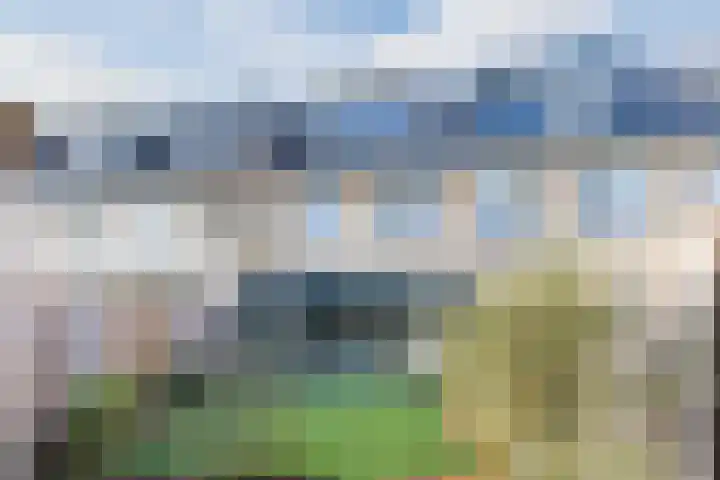 Schoolven 12 Zaandam thumbnail 33