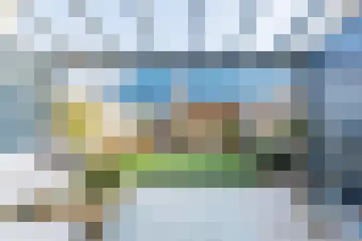 Schoolven 12 Zaandam thumbnail 34