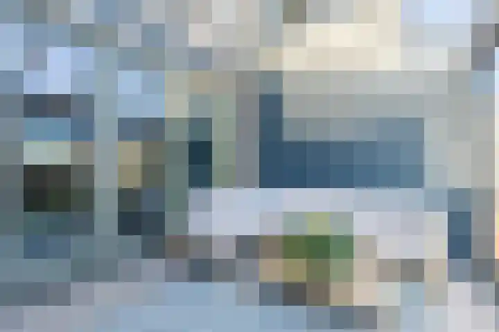 Schoolven 12 Zaandam thumbnail 35