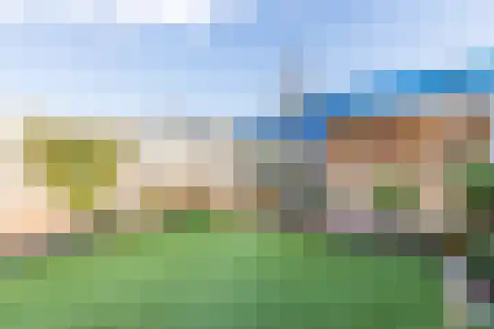 Schoolven 12 Zaandam thumbnail 36