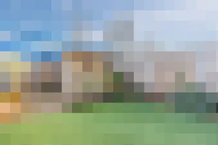 Schoolven 12 Zaandam thumbnail 37