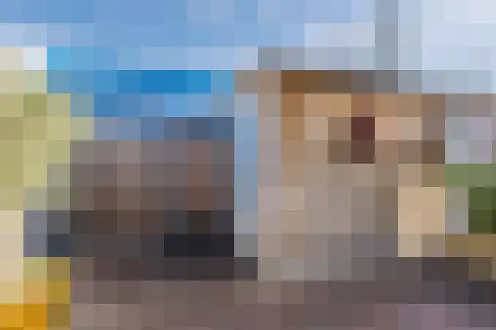 Schoolven 12 Zaandam thumbnail 38