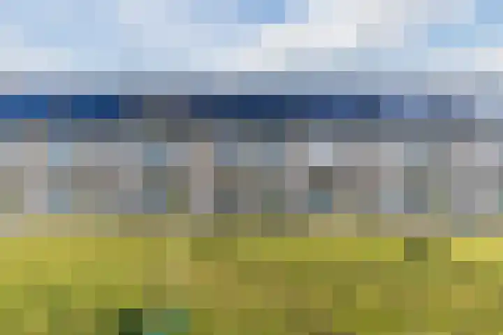 Schoolven 12 Zaandam thumbnail 39