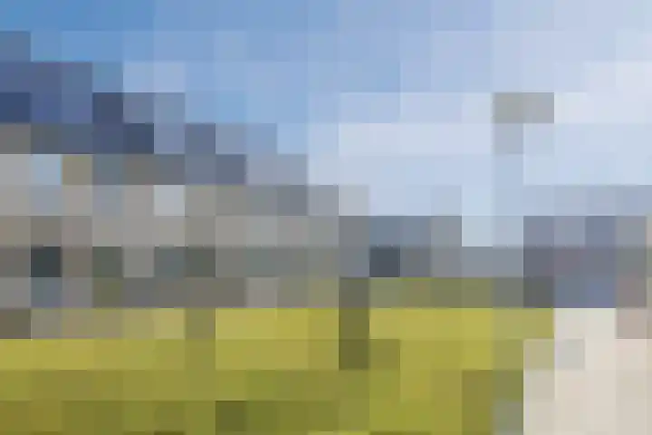 Schoolven 12 Zaandam thumbnail 41