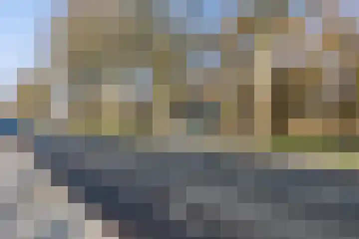 Schoolven 12 Zaandam thumbnail 42