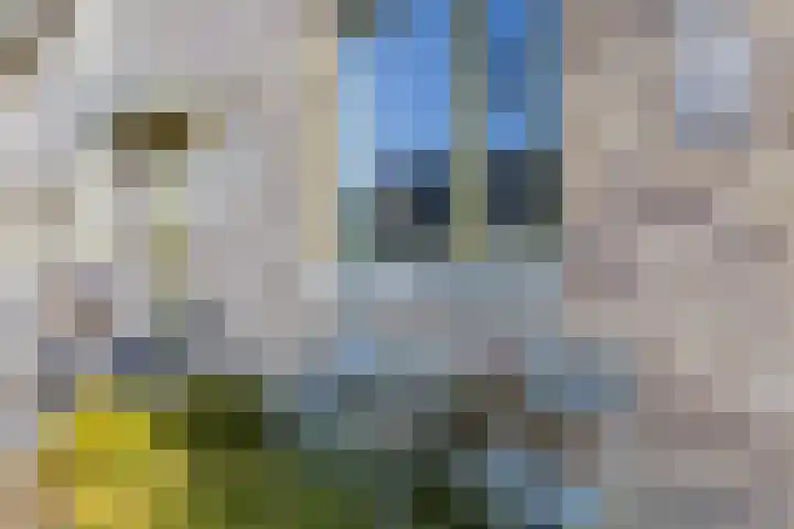 Schoolven 12 Zaandam thumbnail 5