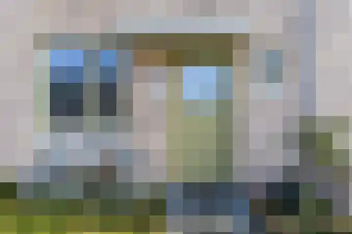 Schoolven 12 Zaandam thumbnail 6