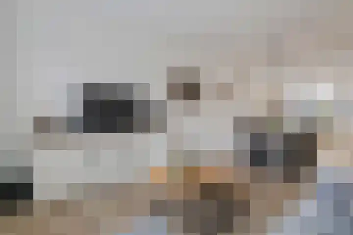 Schoolweg 1 Deest thumbnail 13