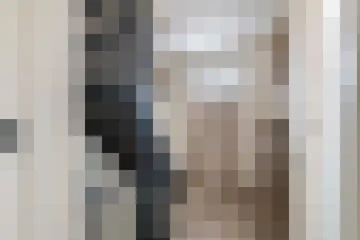 Schoolweg 1 Deest thumbnail 25