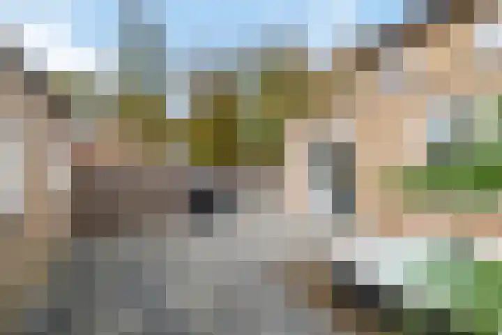 Schoolweg 1 Deest thumbnail 35