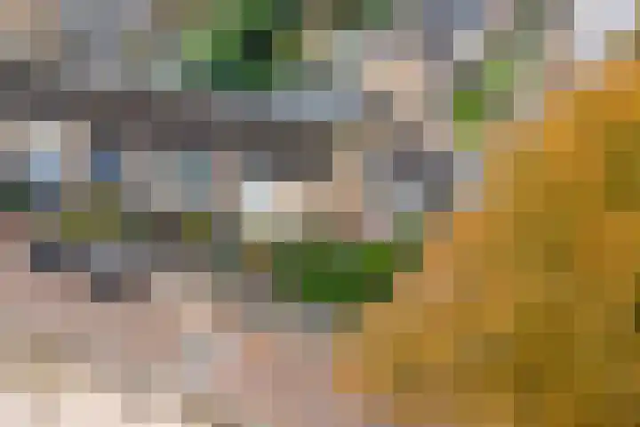 Schoolweg 1 Deest thumbnail 38