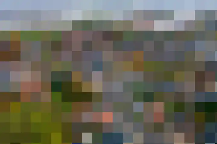 Schoolweg 1 Deest thumbnail 40