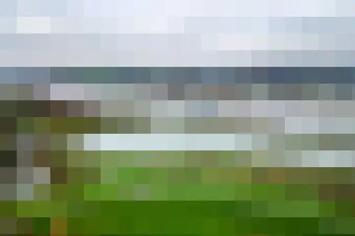 Schoolweg 1 Deest thumbnail 41
