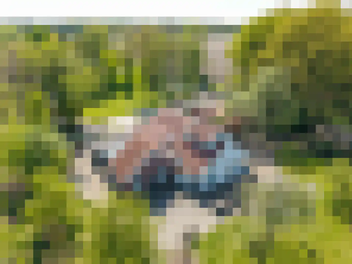 Schoolweg 1 Veelerveen thumbnail 5