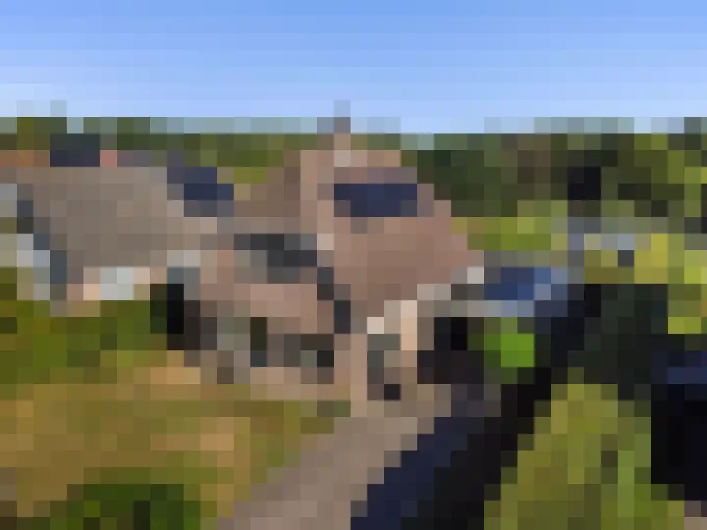 Schoolweg 1 Zwiggelte thumbnail 30