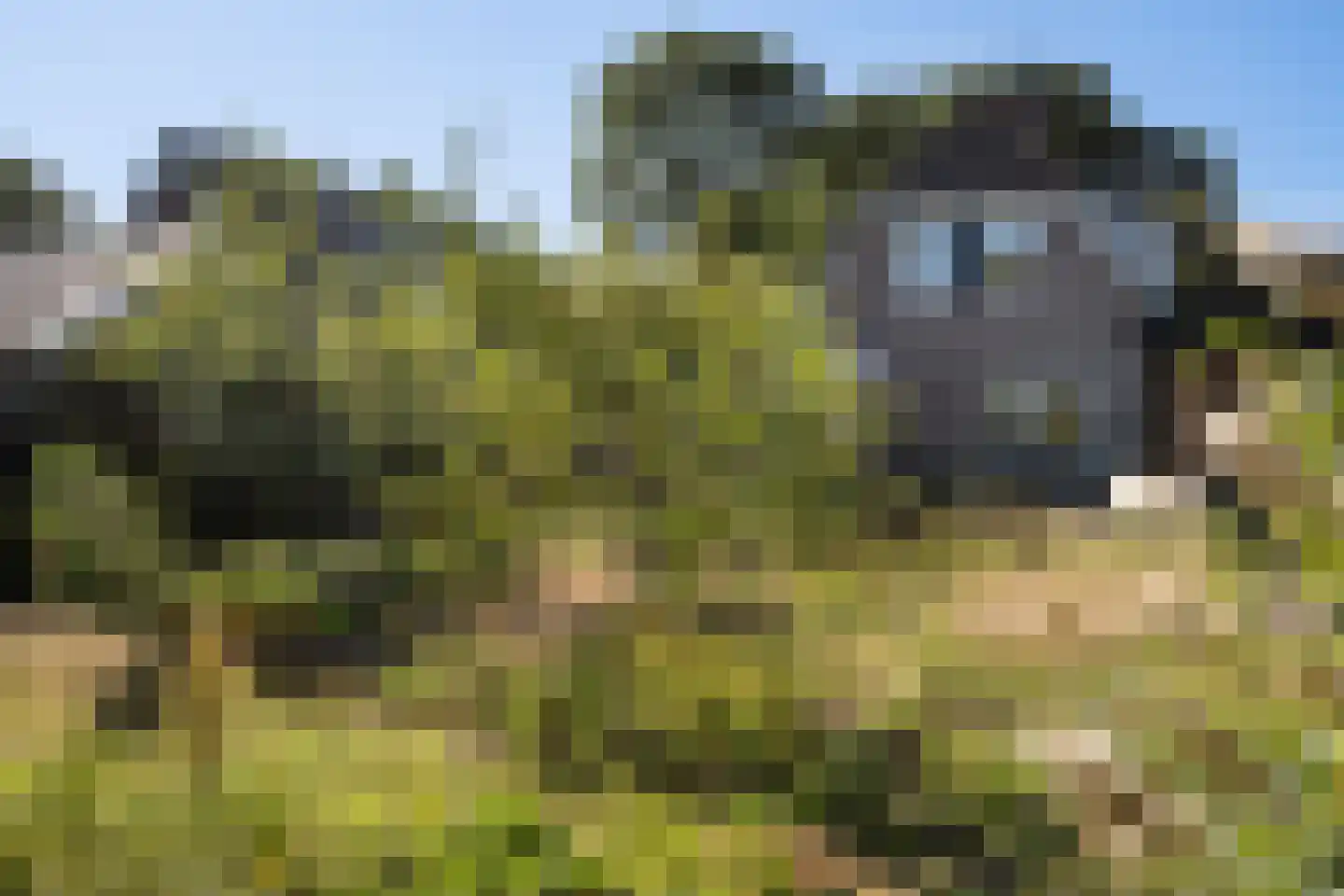 Schoolweg 1 Zwiggelte thumbnail 31