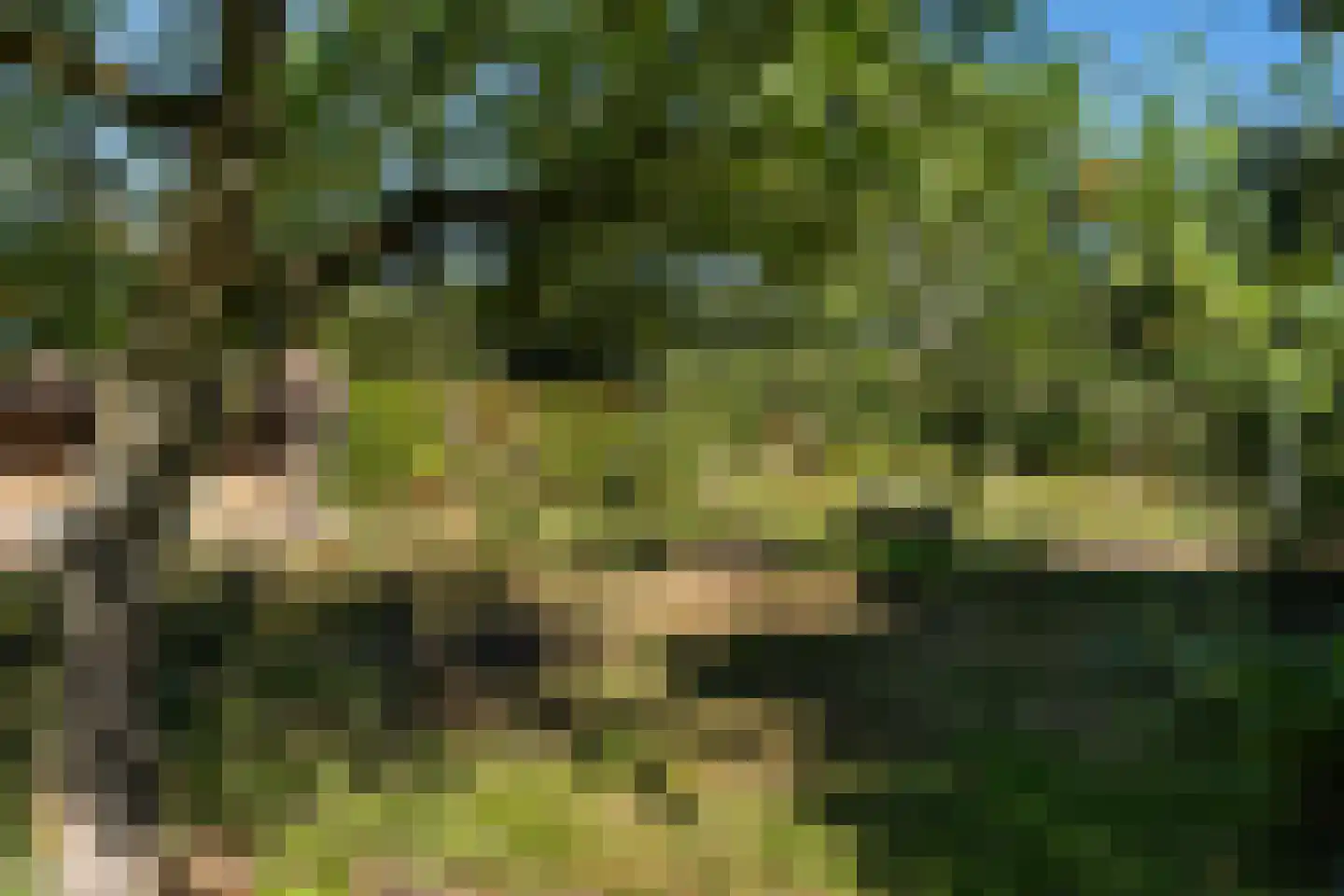 Schoolweg 1 Zwiggelte thumbnail 39
