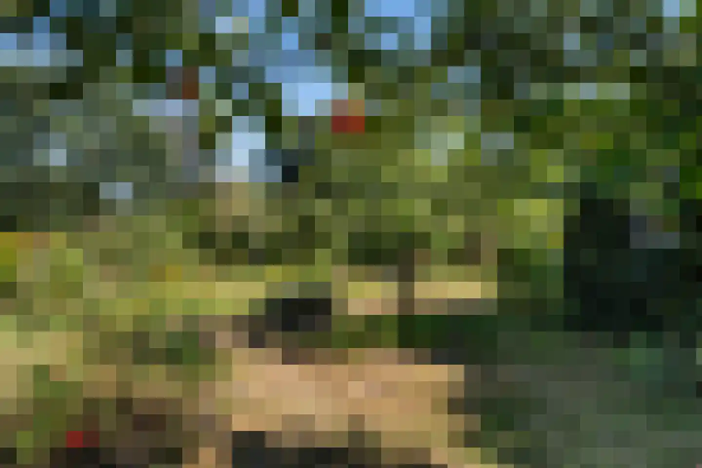 Schoolweg 1 Zwiggelte thumbnail 40