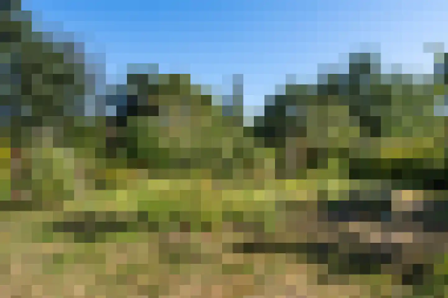 Schoolweg 1 Zwiggelte thumbnail 41