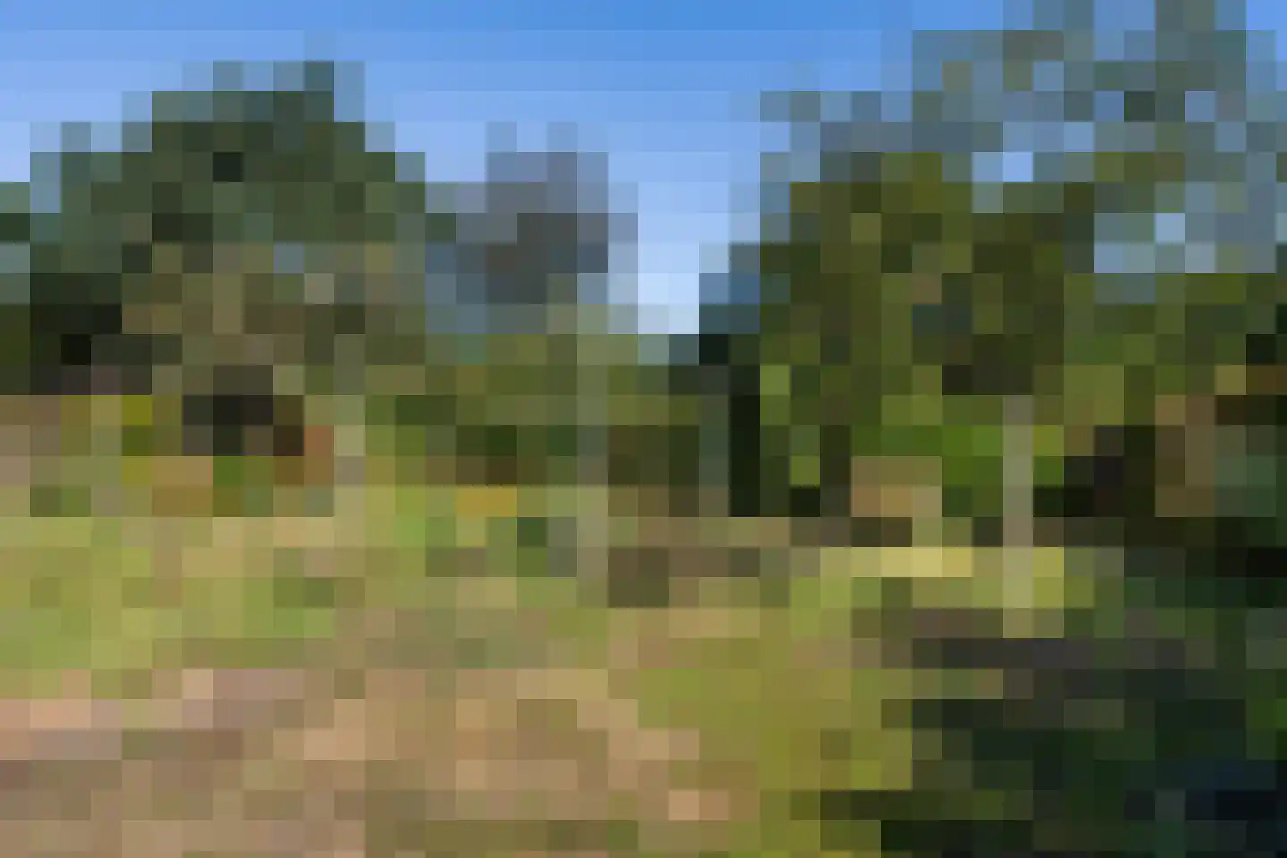 Schoolweg 1 Zwiggelte thumbnail 42