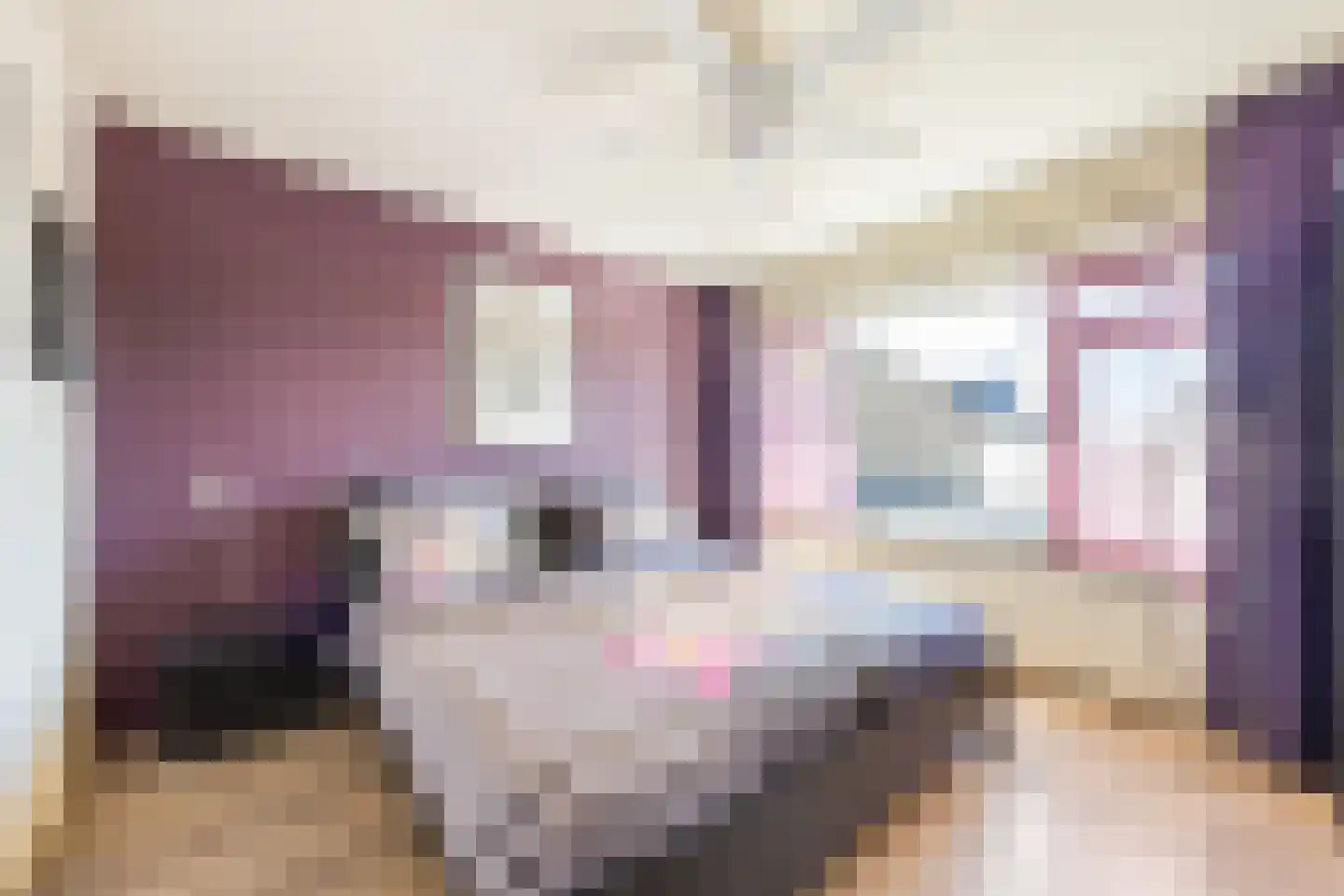 Schoolweg 11 Deest thumbnail 21