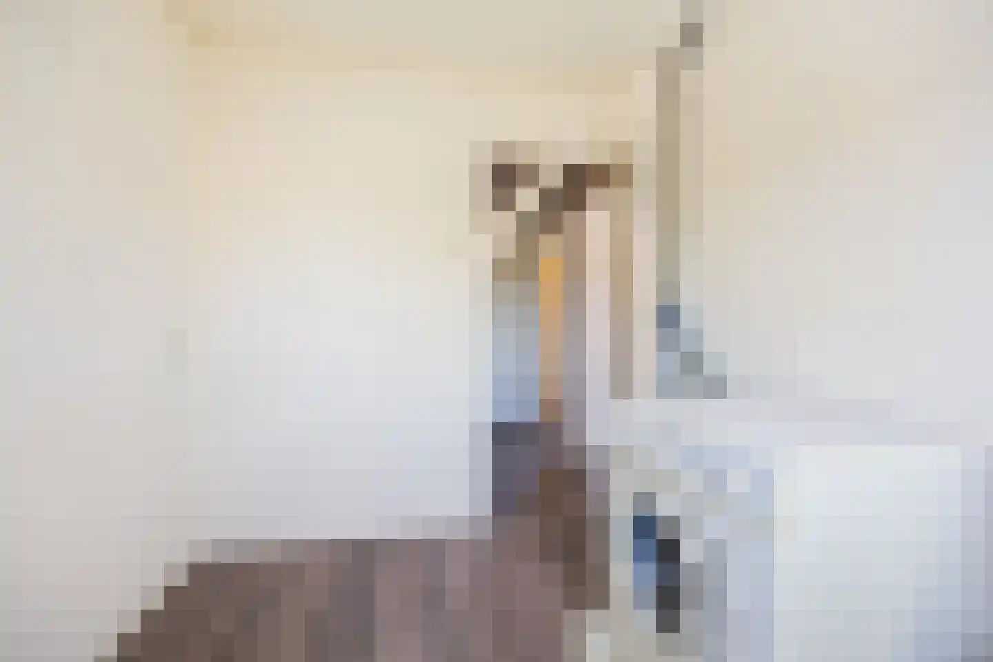 Schoolweg 11 Deest thumbnail 26