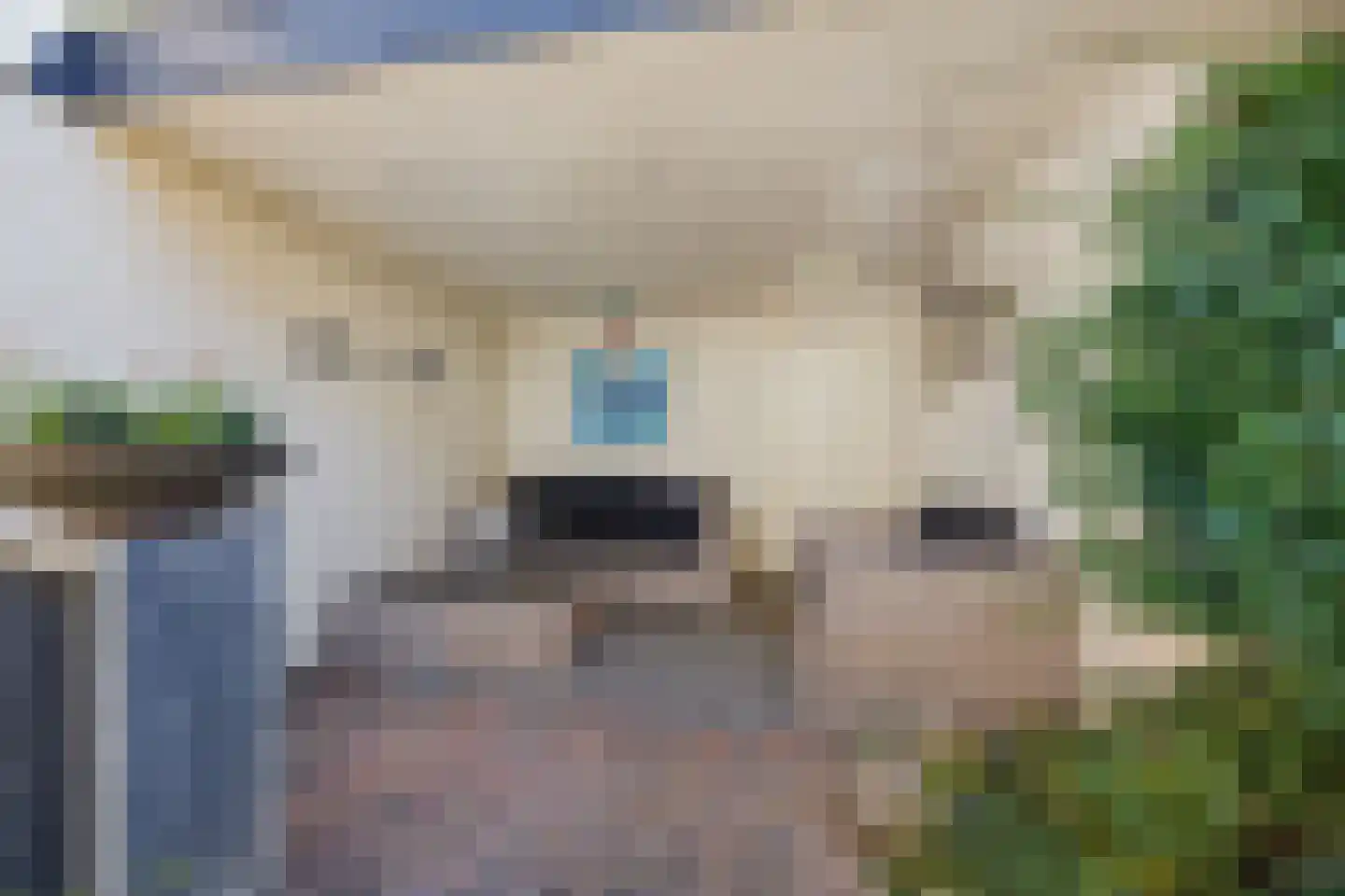 Schoolweg 11 Deest thumbnail 34