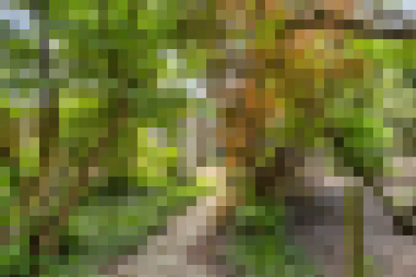 Schoolweg 12 Lith thumbnail 30