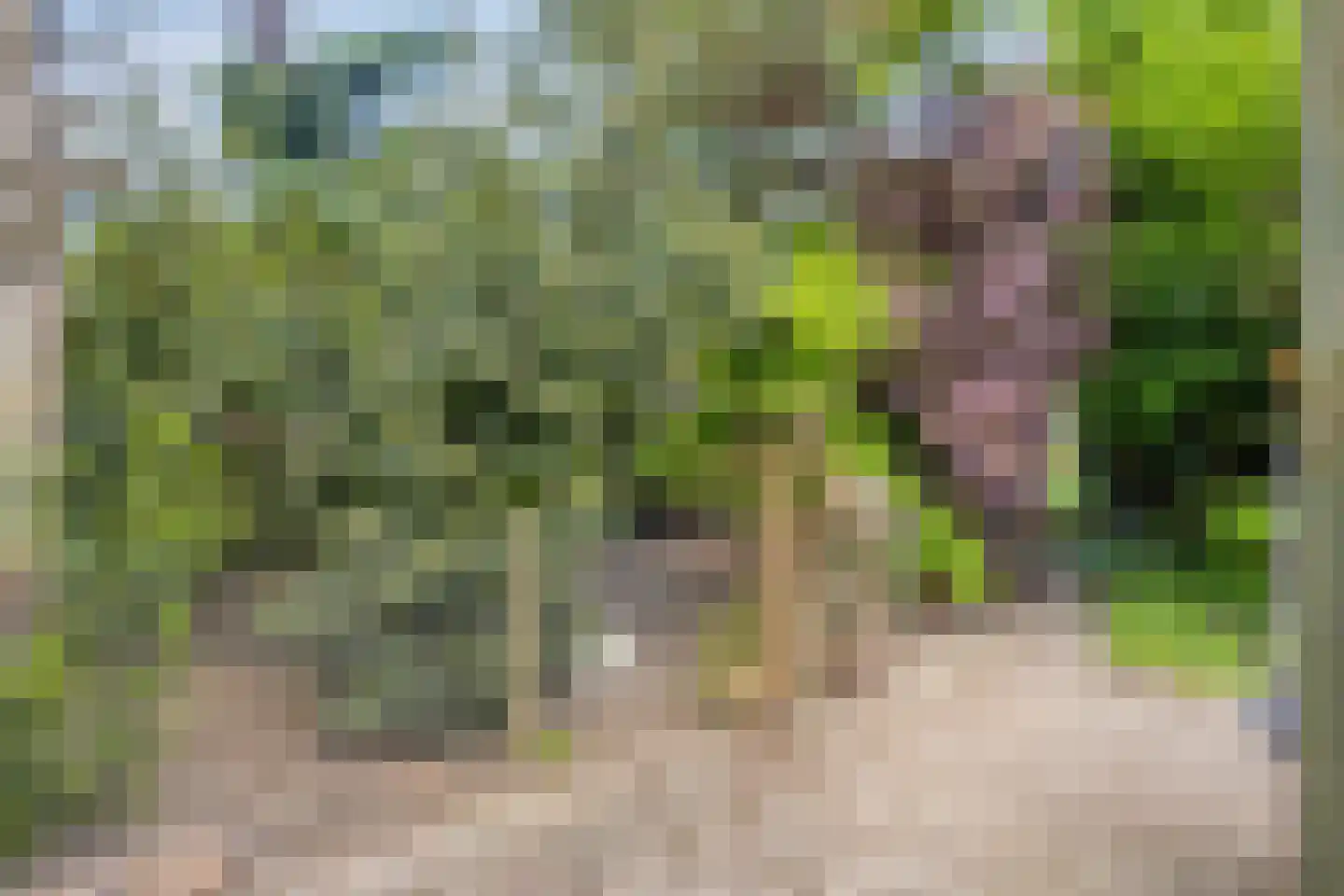 Schoolweg 12 Lith thumbnail 31