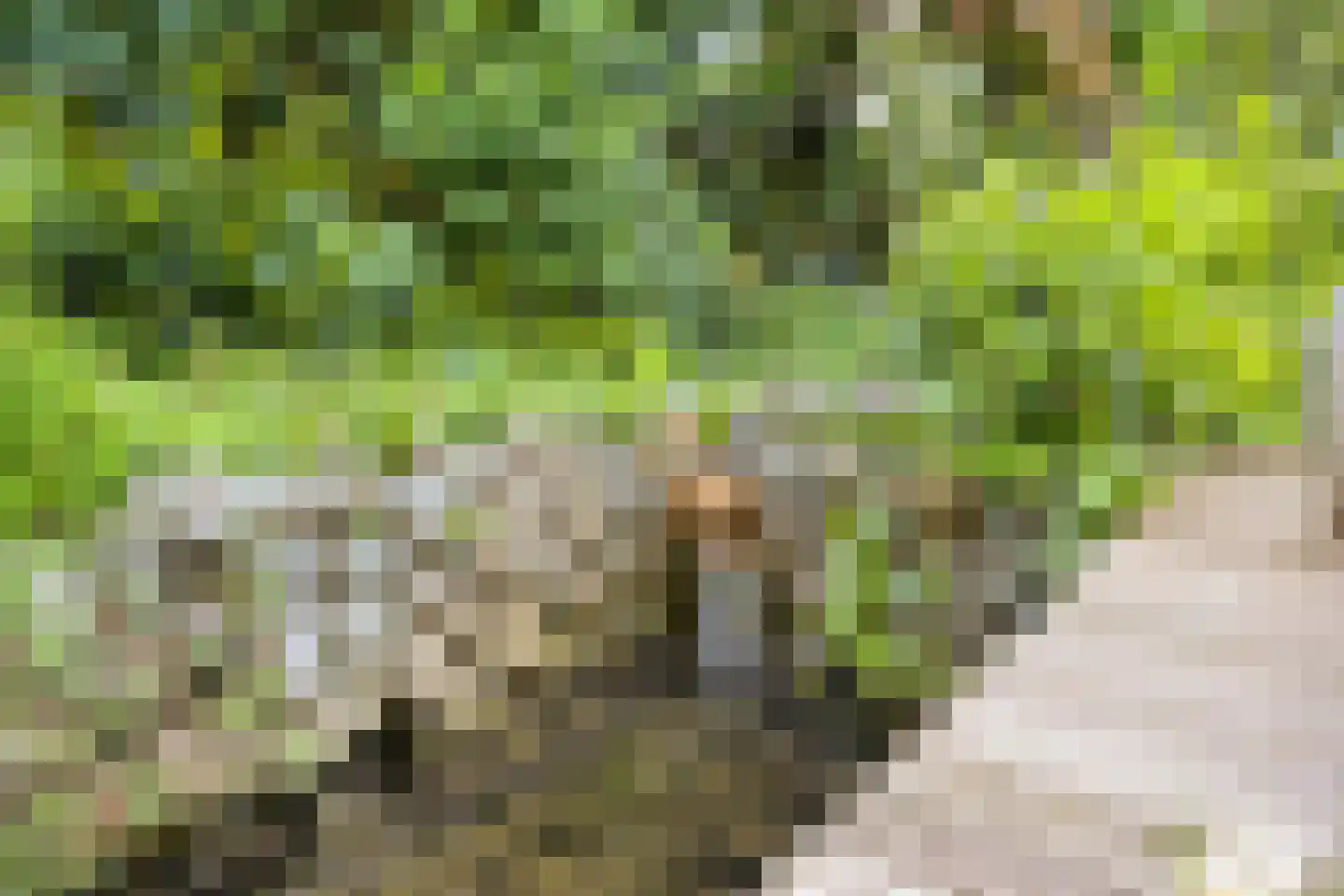 Schoolweg 12 Lith thumbnail 32