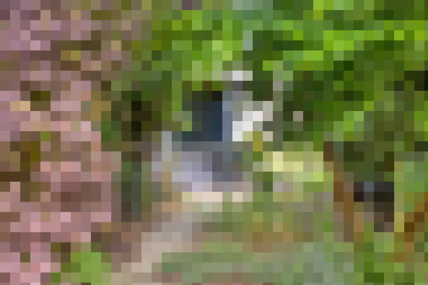 Schoolweg 12 Lith thumbnail 34