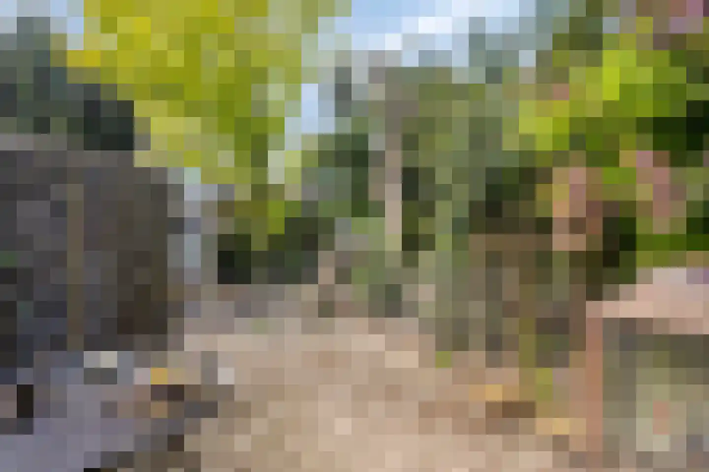 Schoolweg 12 Lith thumbnail 35