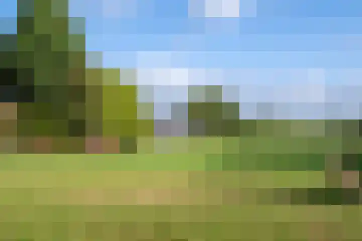 Schoolweg 15 Overberg thumbnail 4