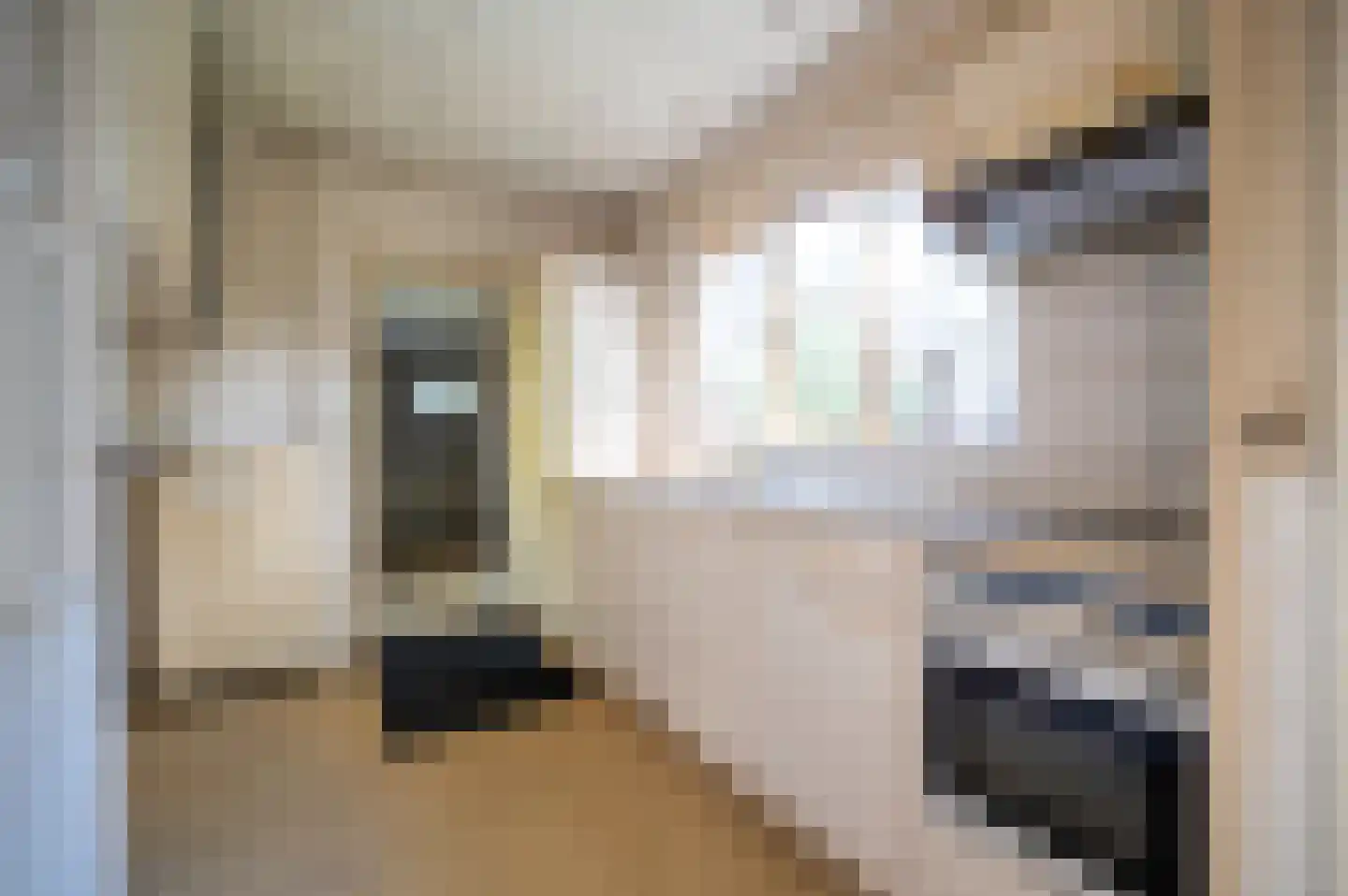 Schoolweg 19 Nunspeet thumbnail 14