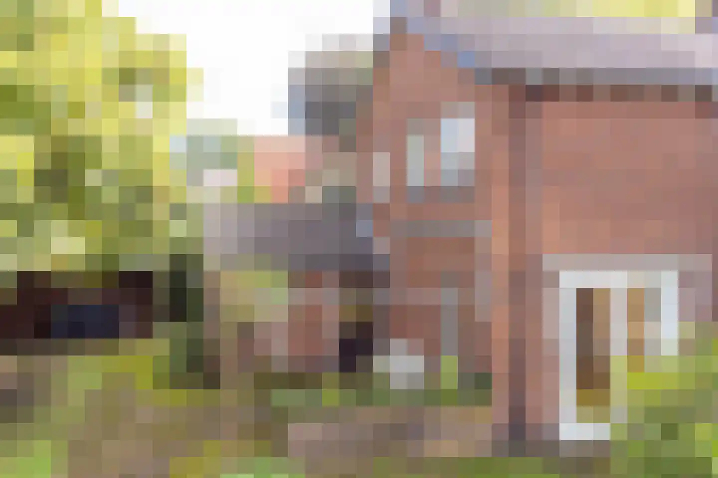Schoolweg 19 Nunspeet thumbnail 17