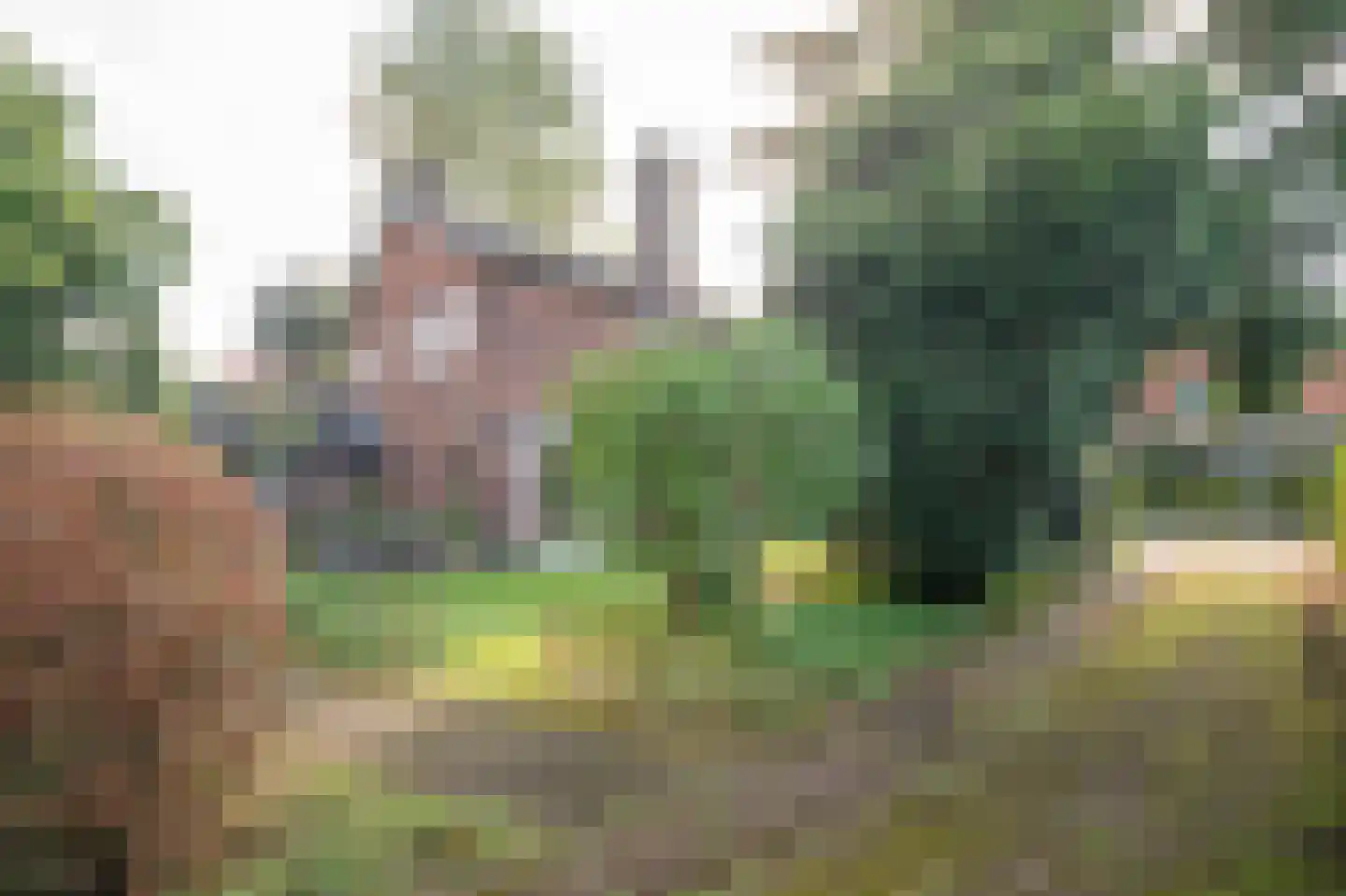 Schoolweg 19 Nunspeet thumbnail 18