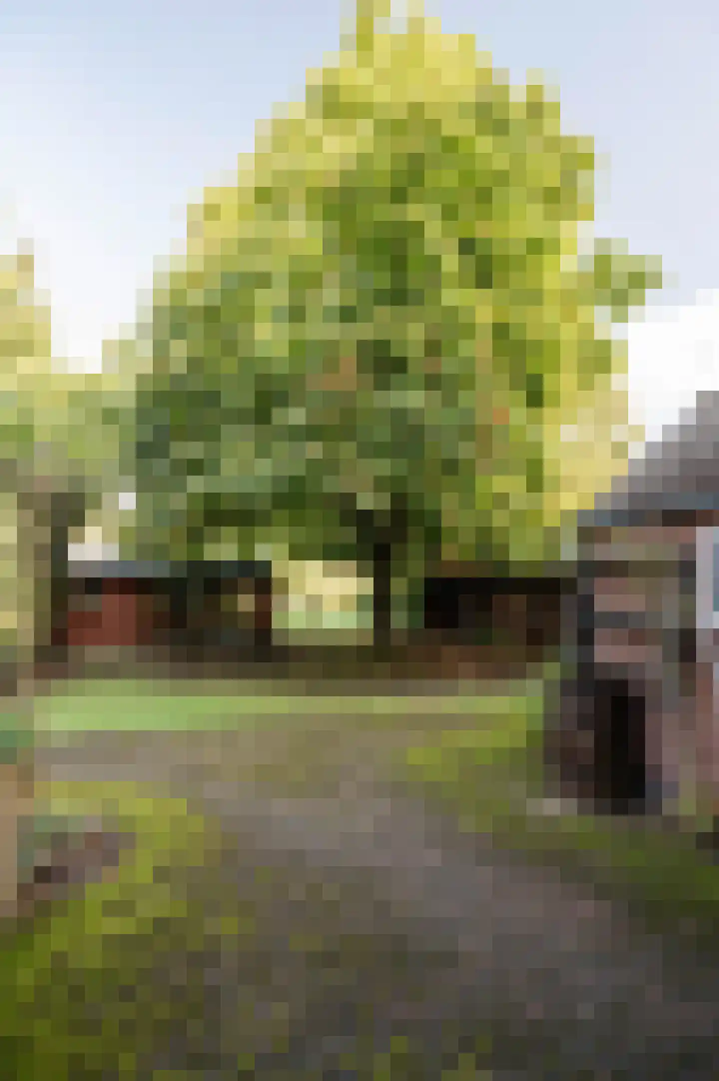Schoolweg 19 Nunspeet thumbnail 20