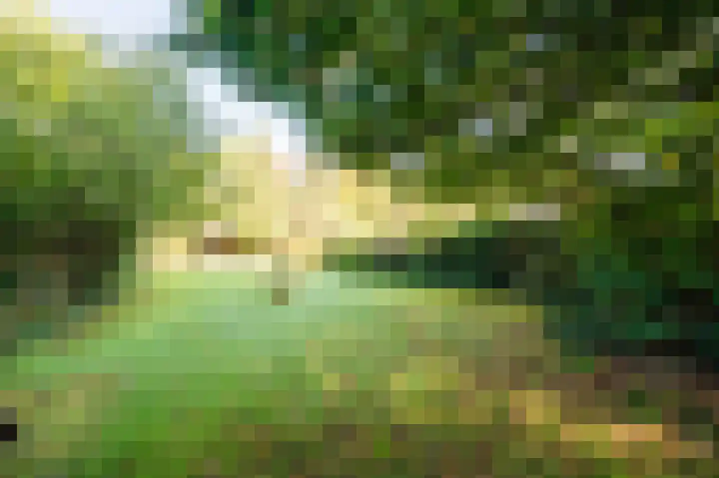 Schoolweg 19 Nunspeet thumbnail 21