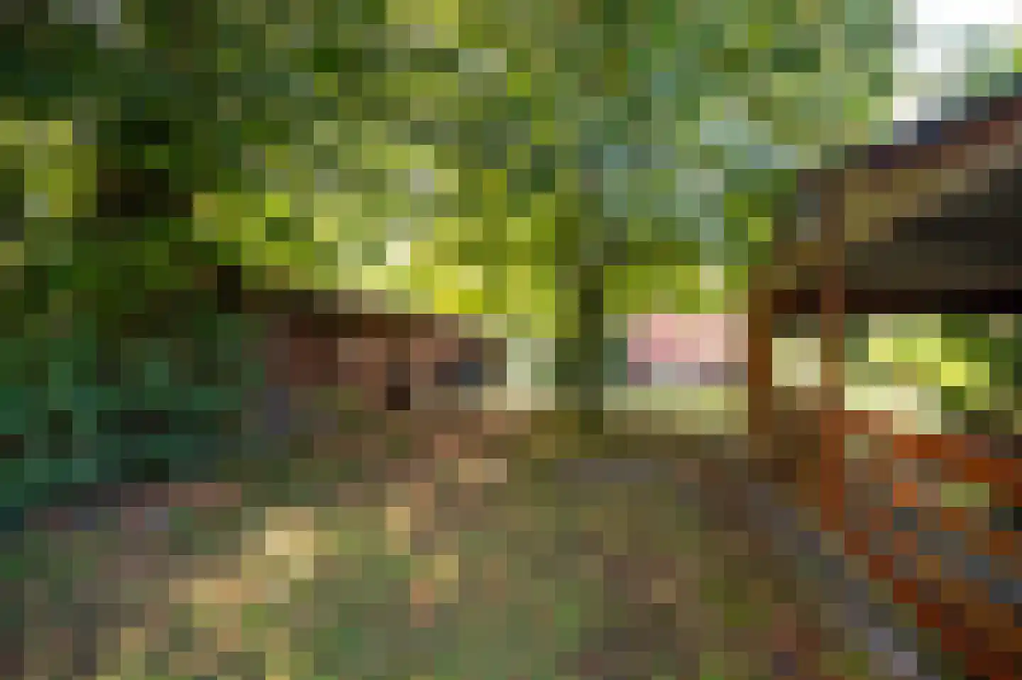 Schoolweg 19 Nunspeet thumbnail 22