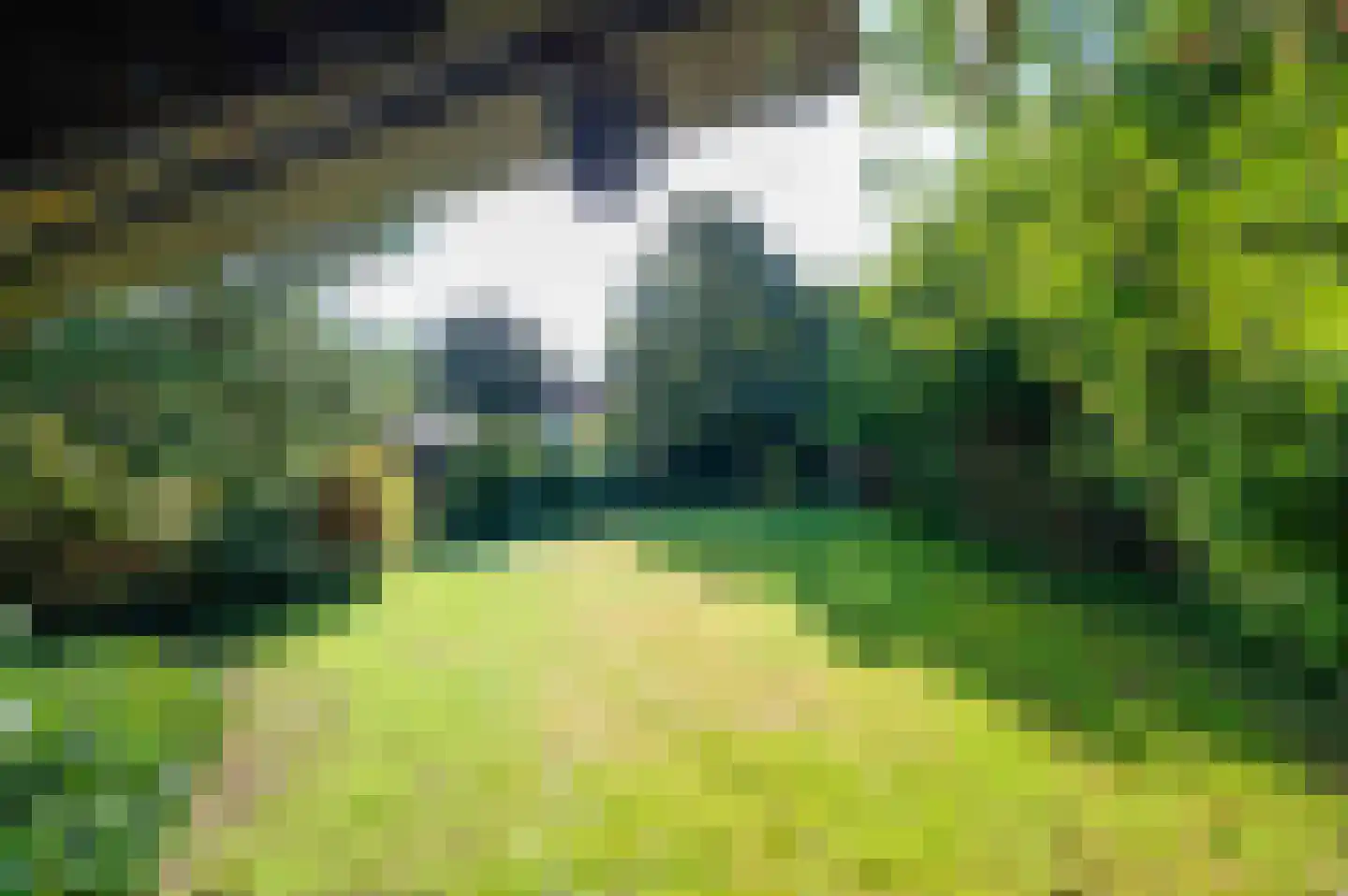 Schoolweg 19 Nunspeet thumbnail 25