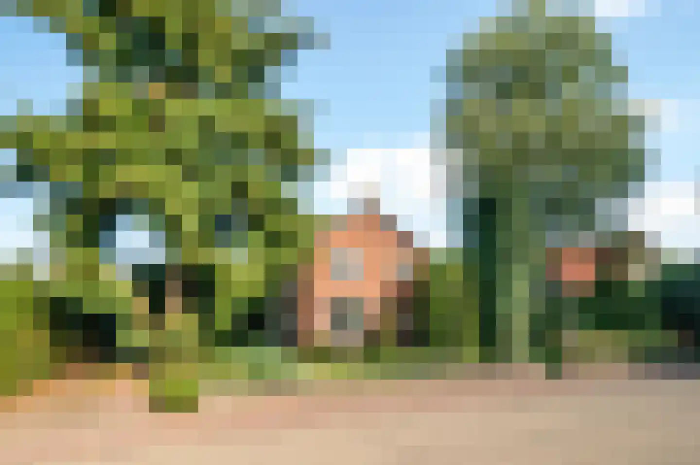 Schoolweg 19 Nunspeet thumbnail 4