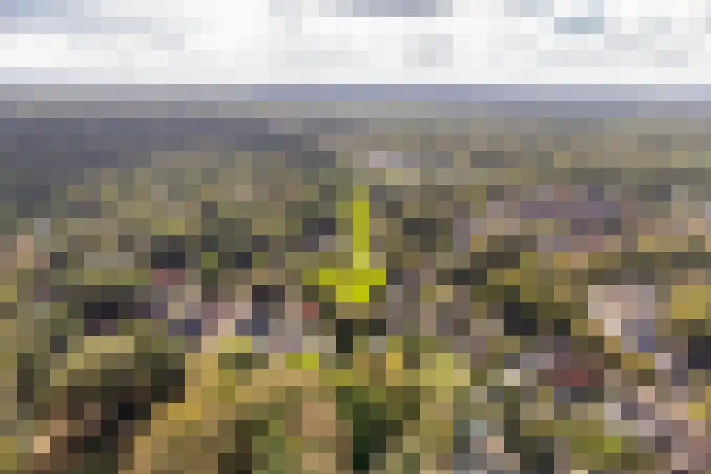 Schoolweg 19 Nunspeet thumbnail 5