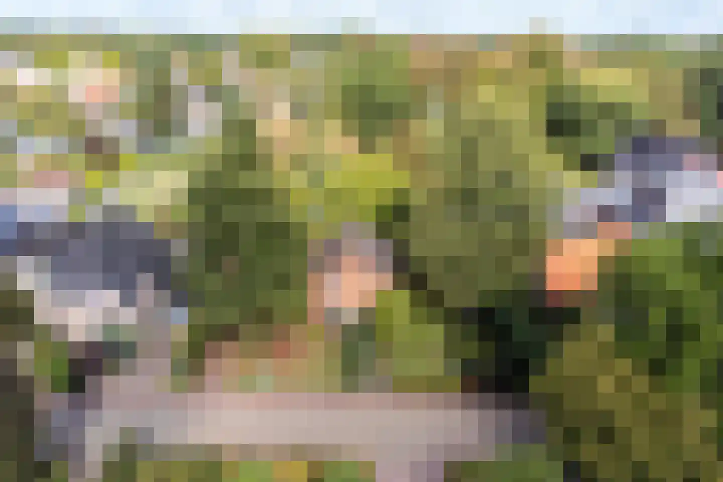 Schoolweg 19 Nunspeet thumbnail 6