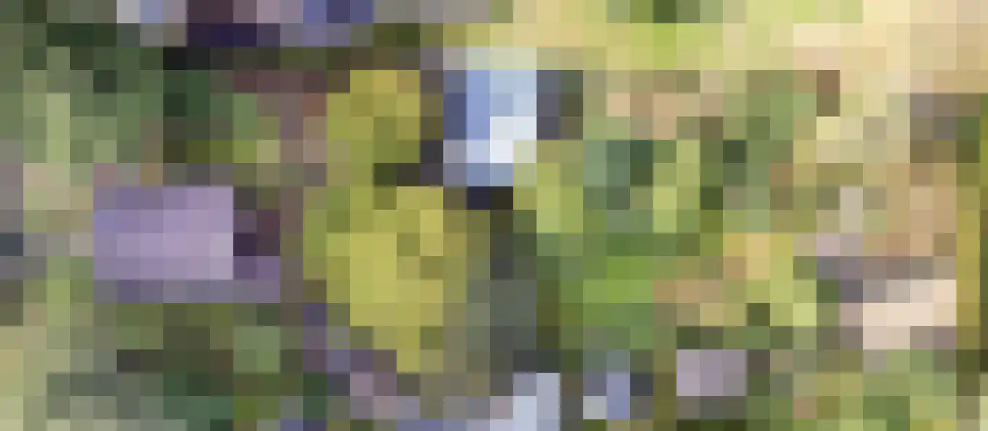 Schoolweg 19 Nunspeet thumbnail 8
