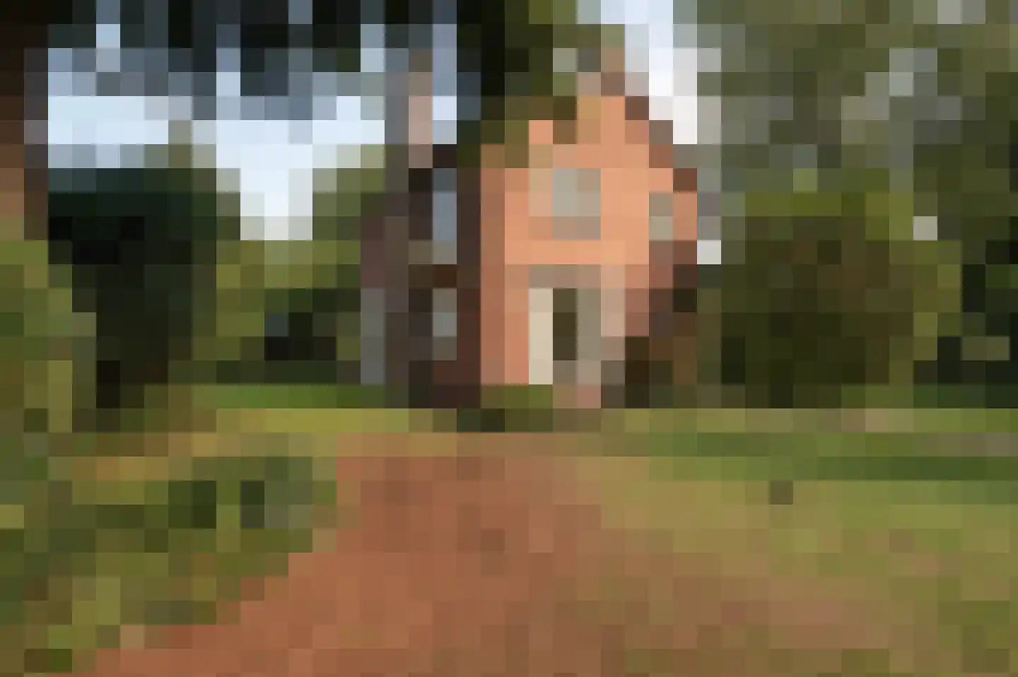 Schoolweg 19 Nunspeet thumbnail 9
