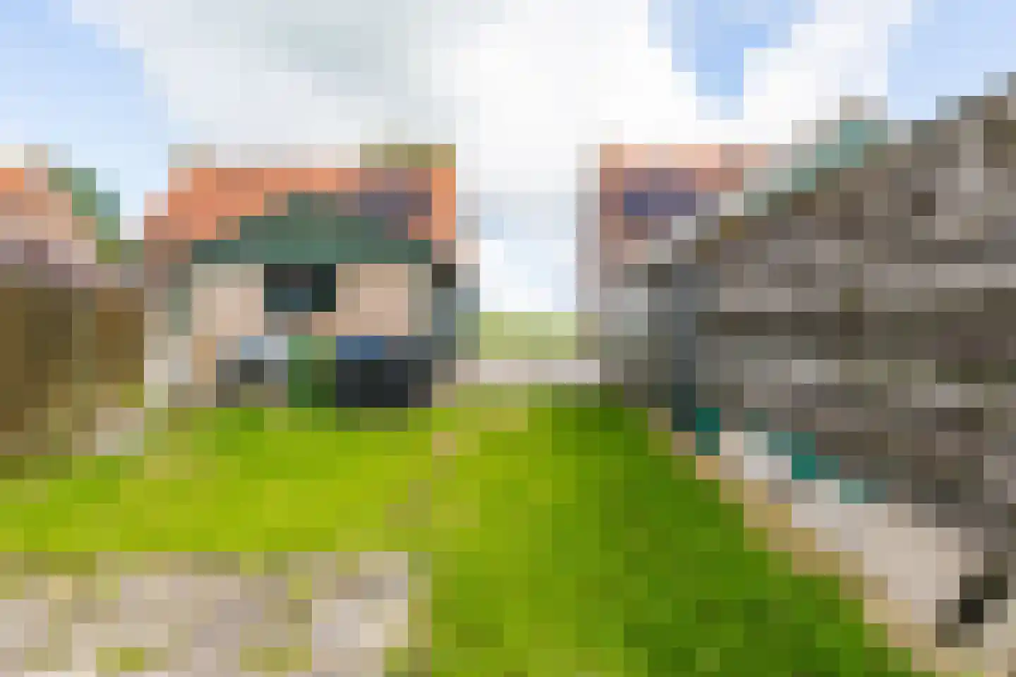 Schoolweg 24 Jubbega thumbnail 25