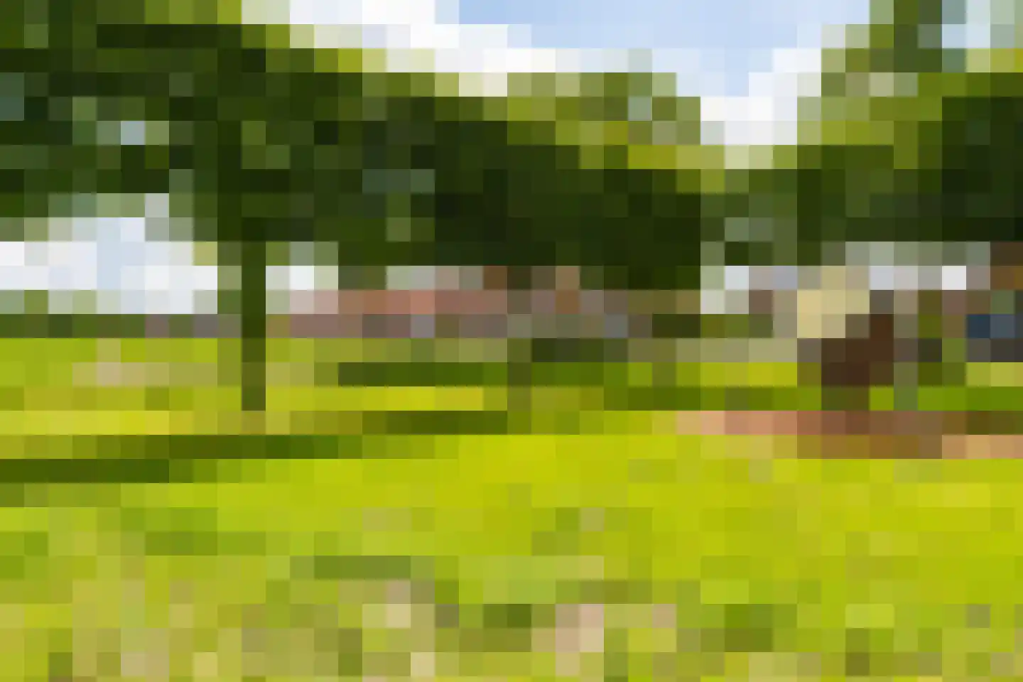 Schoolweg 24 Jubbega thumbnail 28